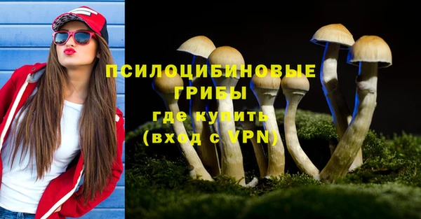 дживик Армянск