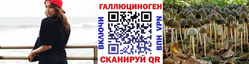 Псилоцибиновые грибы прущие грибы  Талдом 